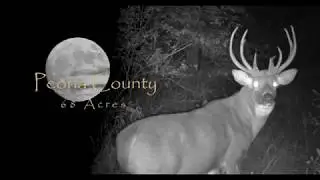 Peoria County, IL 68 Acre Hunting Property Tour (With Large Outbuilding)