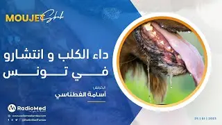 داء الكلب و انتشارو في تونسالدكتور هيثم بنية . طبيب بيطري