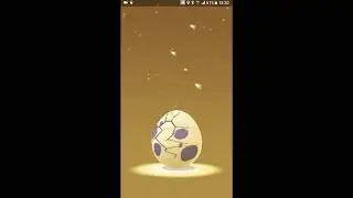 Pokemon Go - The Gender Dex Challenge And More (Windy Warning)