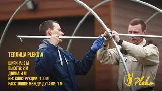 Теплица