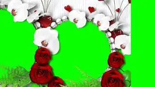 3d photo freme green screen