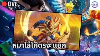 🔴ลุยต่อกับทีมเดิม ม้าดำกับหมาโล่ | Pokemon VGC