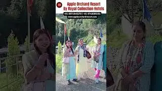 Apple Orchard Resort Dhanaulti Valuable Guest Review | Royal collection Hotels #shortsvideo #shorts