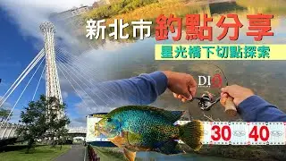 探索✅花羅漢爆咬🐟基隆河汐止星光橋 🐟 Shimano Cardiff NX S48UL-4 🐟  DIO魚Fishing － 火口 鯉魚
