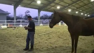 The Texas State Horse Council Visits the Houston Police Mounted Patrol Barn