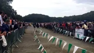 Matt Grossman of Millburn wins the boys A race at the 2016 Manhattan Invit.
