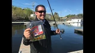Can you catch a fish with a Gummy Worm?