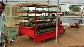 Battery Operated Loader for Nursery