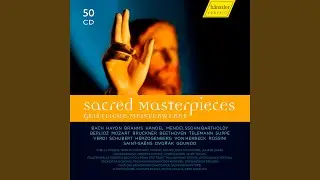 Handel - Messiah, K. 572 (Sung in German) : Aria: O du, die Wonne verkundet in Zion (Soprano)