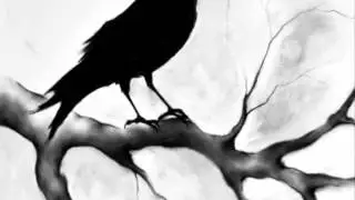 The Bird and the Boy - Eric M. Schiller