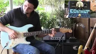 OohLaLa COBALT - WARMOTH STRAT - WOLFETONE pickups - FREIDMAN MINI DIRTY SHIRLEY