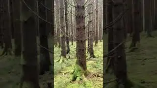 Grangallring