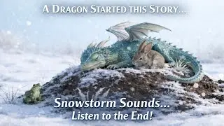 Blizzard Sounds for Sleep ❄️ Snowstorm & Wind Ambience