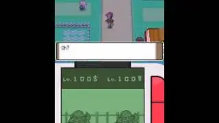 Pokemon Platinum-Shiny Turtwig hatches