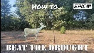 Surviving The Drought : Alternative Hunting Strategies