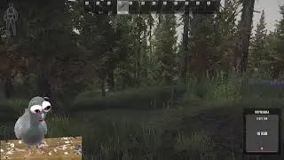 StreamVi.ru live stream