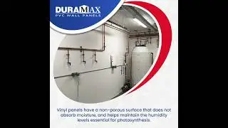 Ways In Which Grow Room Vinyl Panels Support Indoor Farming