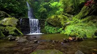 Natural white noise and river sound therapy for better sleep and focus