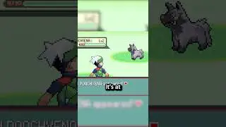 Бесплатные редкие конфеты в Pok&eacute;mon Emerald?