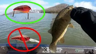This Cheap Crankbait Is Better Than A RkCrawler