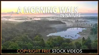 Walking alone in morning nature  - Copyright Free Stock videos