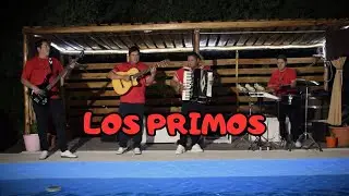 Los Primos