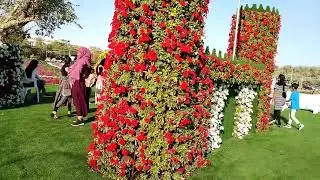 Al ain Flower garden