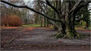 Park na Zdrowiu