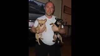 Hundvlogg #1