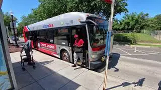 WMATA Metrobus: New Flyer XDE40 Bus 7321 on the 96 (Recorded in 4K)