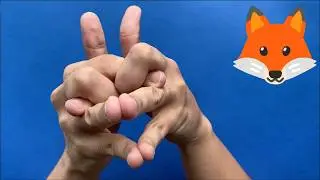 FOX 🦊 Hand Puppet Tutorial