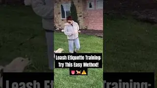 This Dog Leash Hack Will Change Your Walks Forever