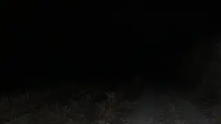 Explorando Al Límite 2.0 está en vivo EL SENDERO DE LOS RITUALES👹👹👹