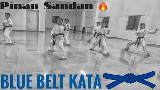 || BLUE BELT KATA || PINAN SANDAN || SHITO RYU STYLE KATA || POWERFUL KATA 🔥