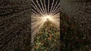 Top 3 Most UNUSUAL HISTORIC Christmas Facts