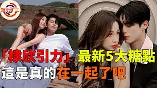 工作室帶頭磕cp！顯微鏡觀察「棣欣引力」5大最新糖點，原來這些細節都暗藏玄機 #娱乐矿工 #棣欣引力 #王鶴棣 #虞書欣 #wanghedi #yushuxin