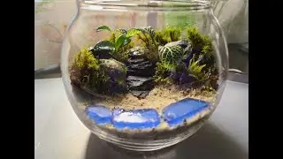 How to make a  mini beach terrarium - Coastal Vibes