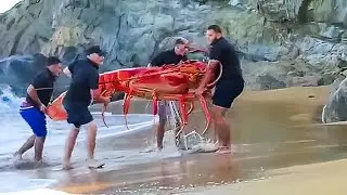 Lucky Fisherman Caught Something Incredible