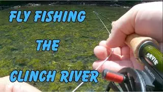 Fly Fishing The Clinch River - Brown Trout & Rainbow Trout