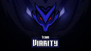Team Viarity - Intro
