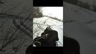 Он вышел из кустов и сел на снег, я атаковал его и успешно добыл #hunting #chass #wildhunting