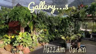 Gallery3 Hazzdum Garden