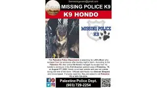 MISSING K9 HONDO