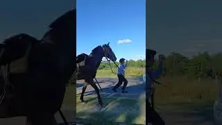 Cabalgata de en Honor al Gauchito Antonio Gil Fiesta de DESPEDIDA DE A&Ntilde;O en Predio DON TONGO