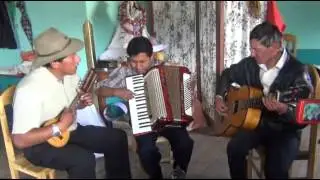 TUNANTES DE NUÑOA 2014