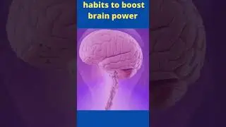 10 habits that boost your brain power#shorts #top10 #brain #habits