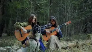 Irish Traditional Folk 