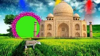 Free Wedding green screen frame effects | Shadi album green screen video 4k animation