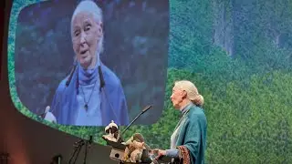 Highlights der Er&ouml;ffnung der BIOFACH und VIVANESS 2020 mit Dr. Jane Goodall