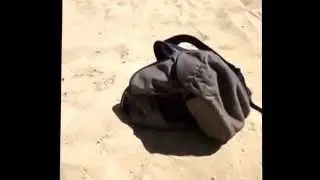man shellfish